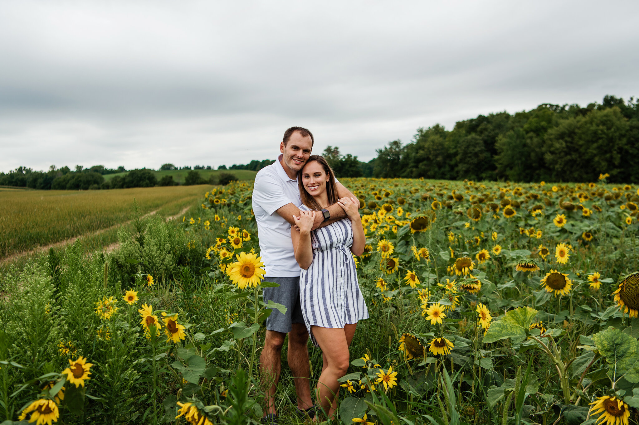 Sunflower_Farm_Rochester_Engagement_Session_JILL_STUDIO_Rochester_NY_Photographer_9146.jpg