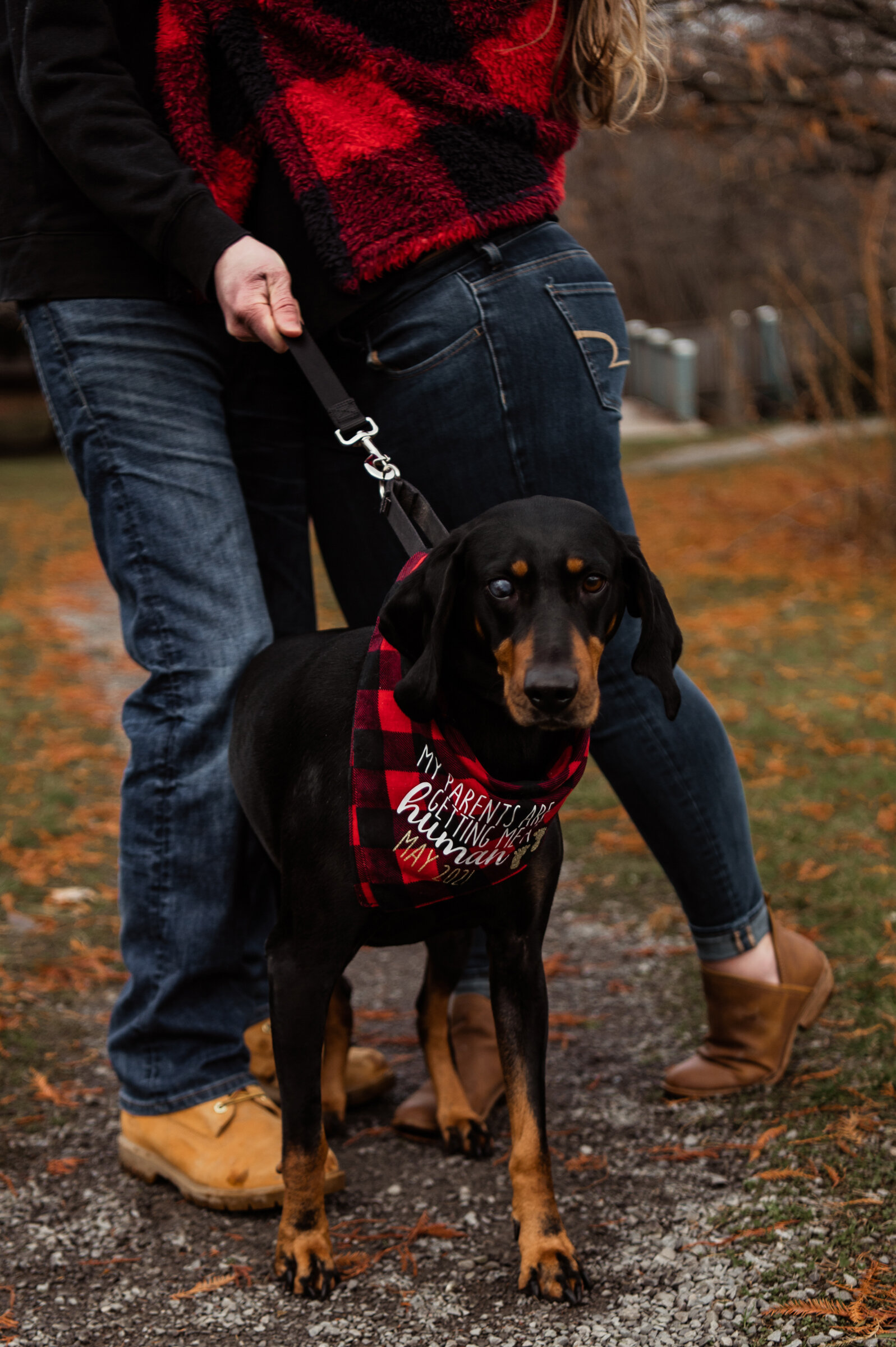 Webster_Arboretum_Rochester_Family_Session_JILL_STUDIO_Rochester_NY_Photographer_5904.jpg