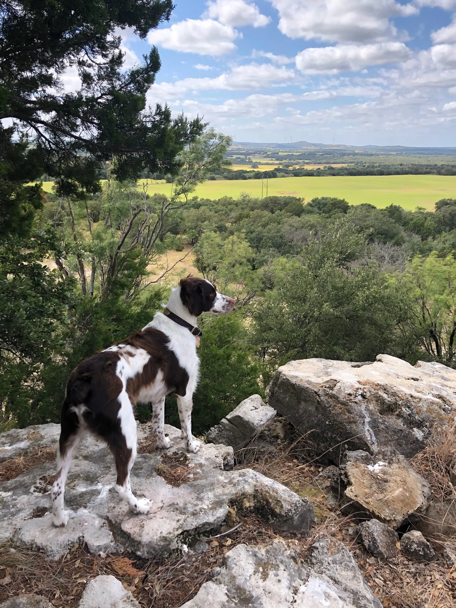 Nary and a Theodore’s handsome Porter, thanks for this beautiful picture Jonathan!