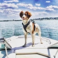 River Brittany now residing in Ireland!