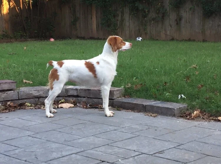 One of Theodore and Nary’s beautiful girls...