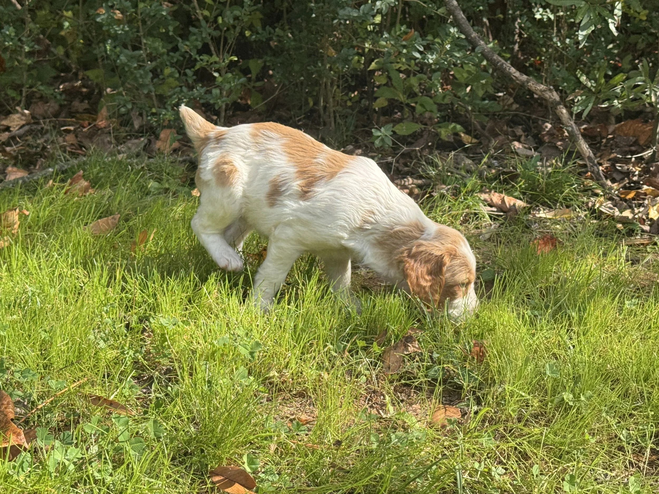 IMG_6269.jpeg