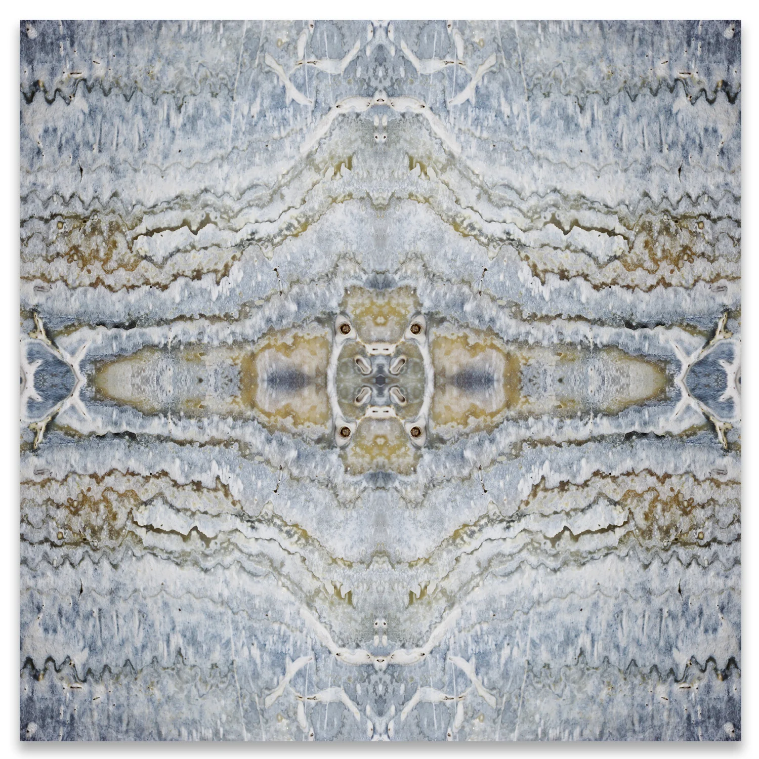 © SEASHELLS COMPOSITION No.908