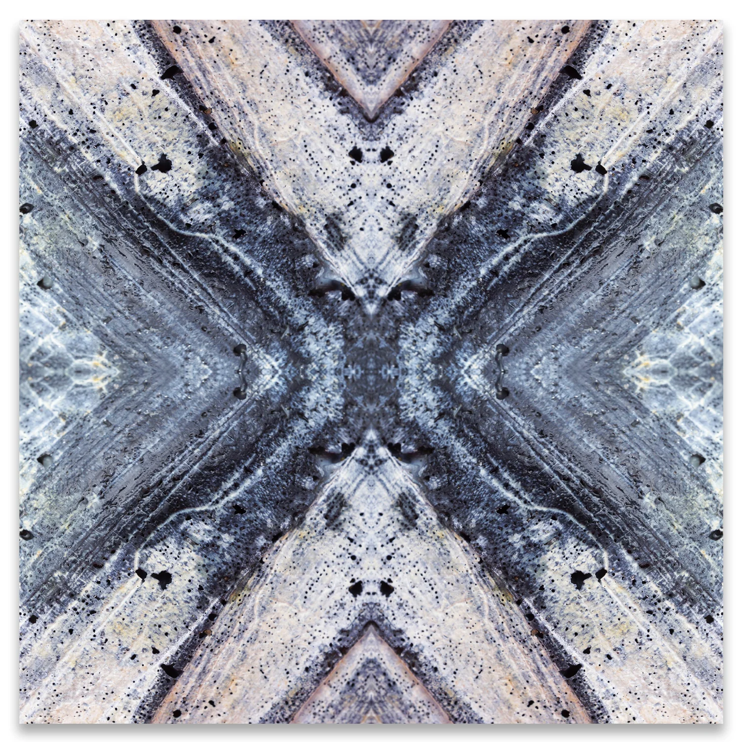 © SEASHELLS COMPOSITION No.912