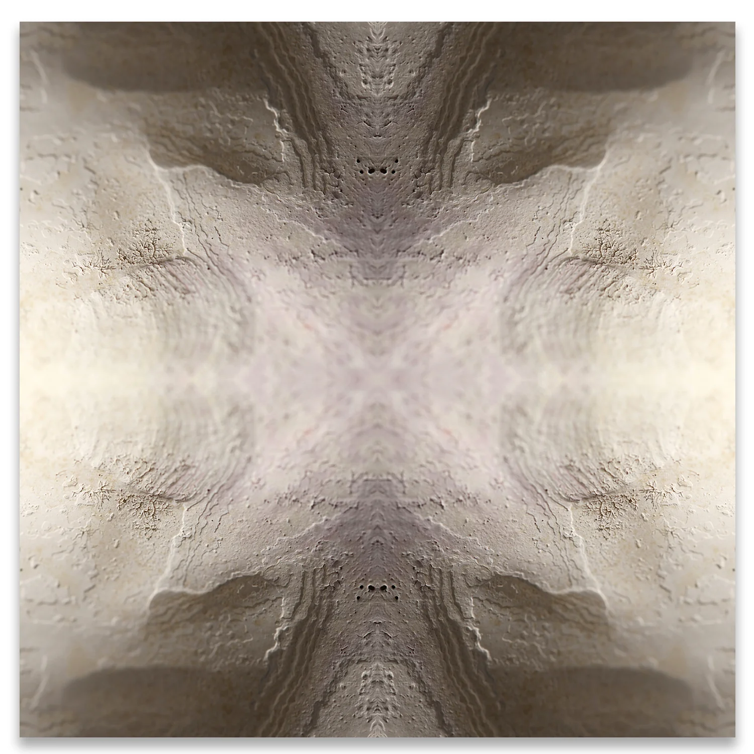 © SEASHELLS COMPOSITION No.18