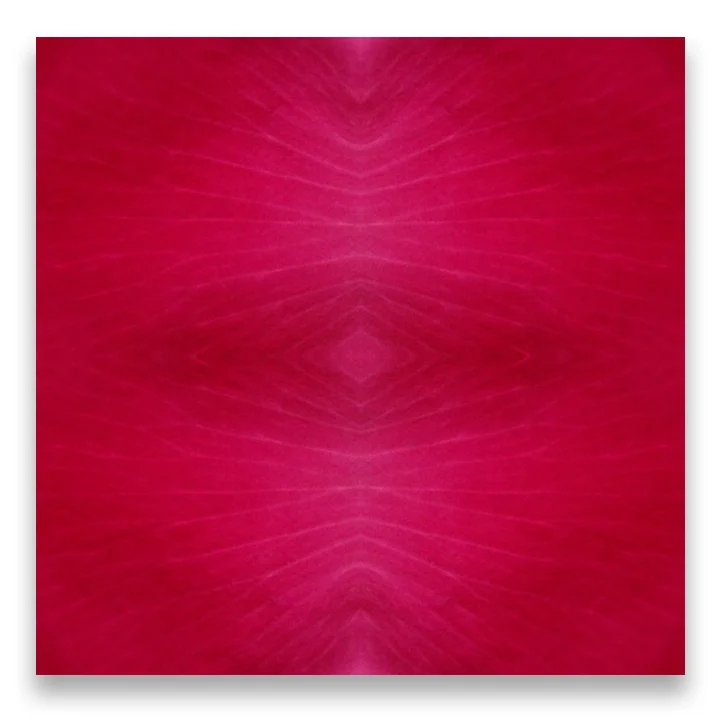 © ROSE PETALS COMPOSITION NO.827
