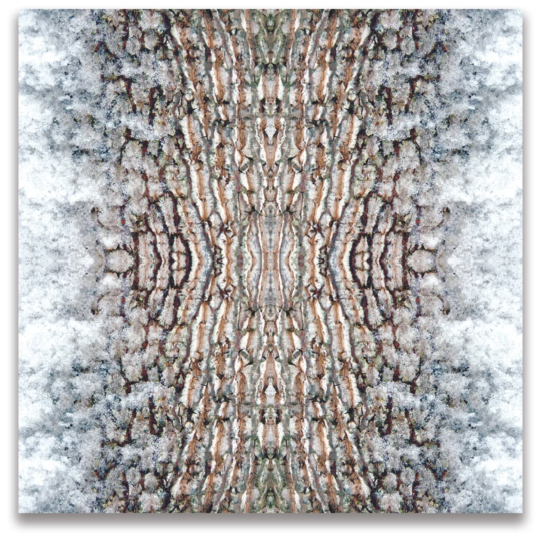 © TREE BARK COMPOSITION No.146
