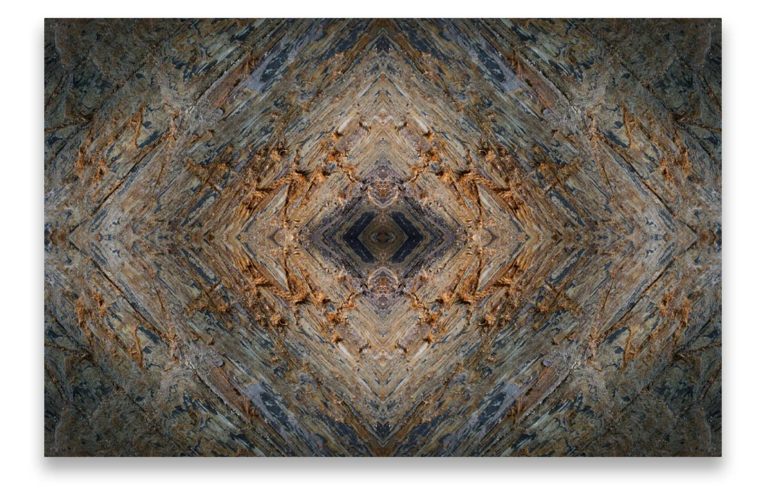 © TREE BARK COMPOSITION No.38