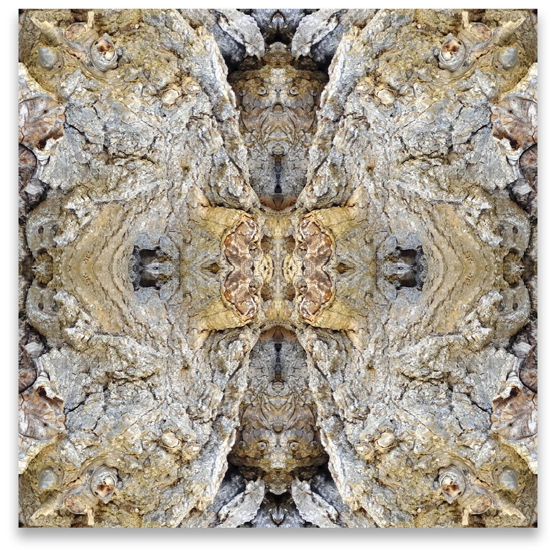 © TREE BARK No.451