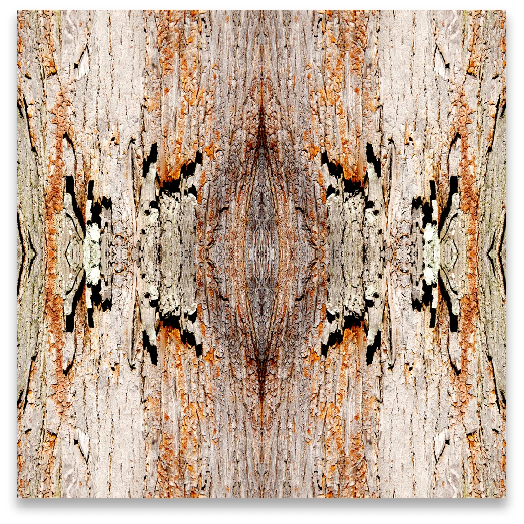 © TREE BARK No.193