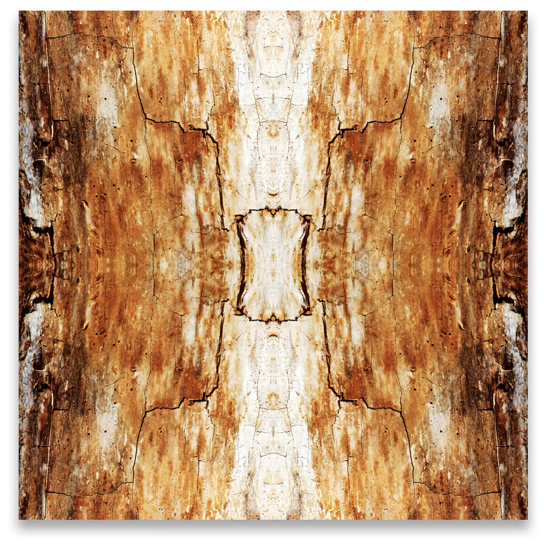 © TREE BARK No.182