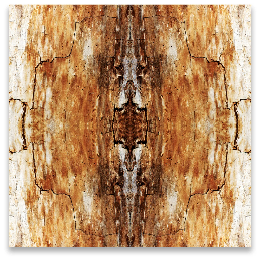 © TREE BARK No.183
