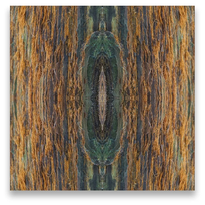 © TREE BARK No.36