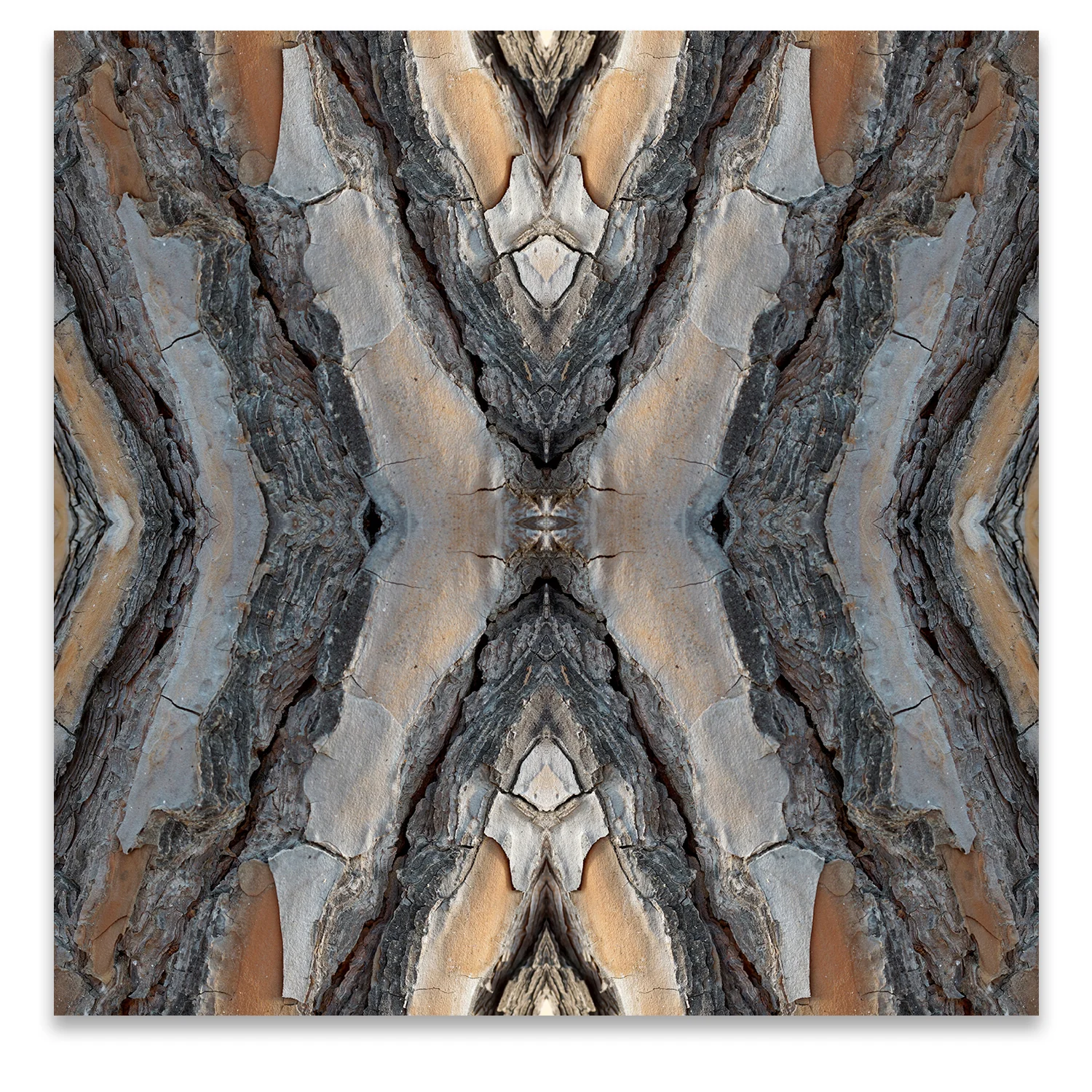 © TREE BARK COMPOSITION No.102