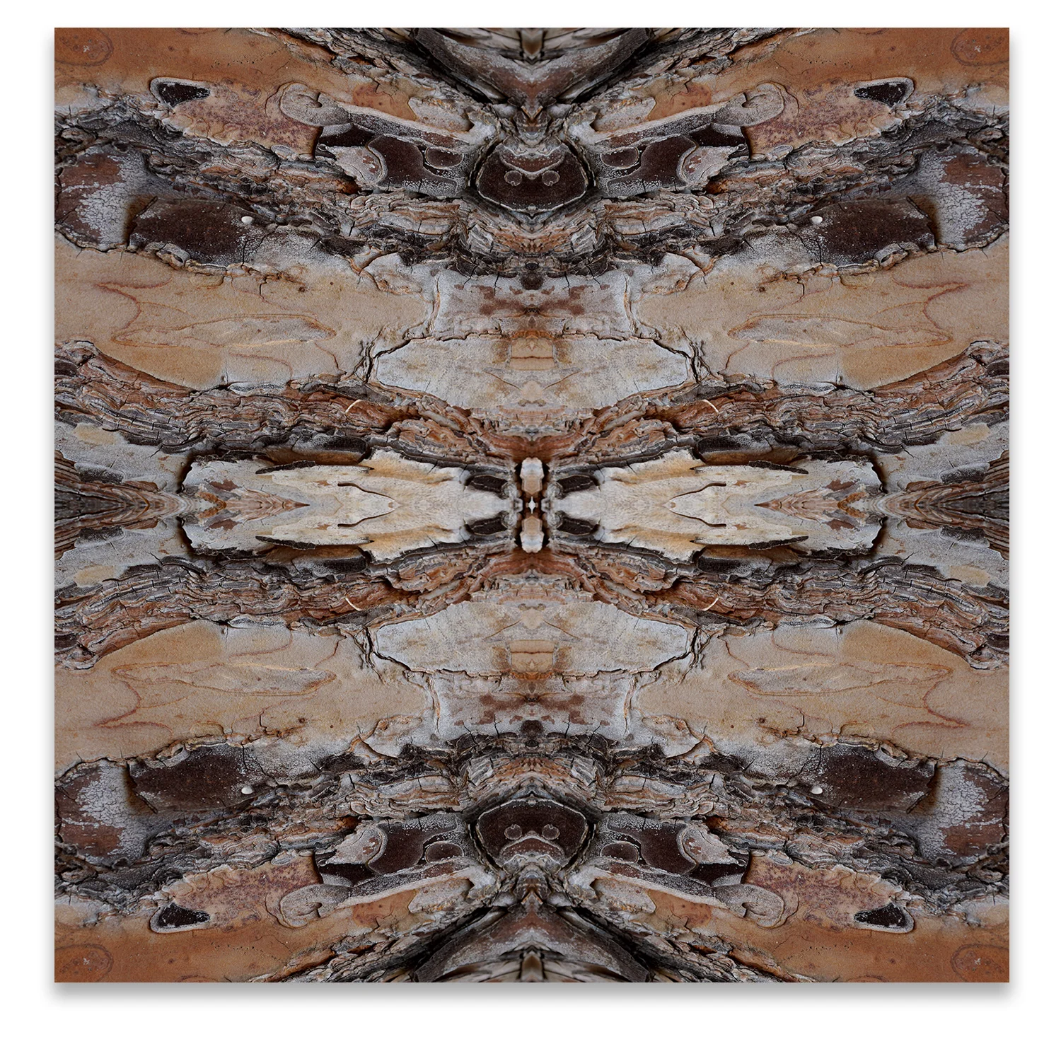 © TREE BARK COMPOSITION No.95