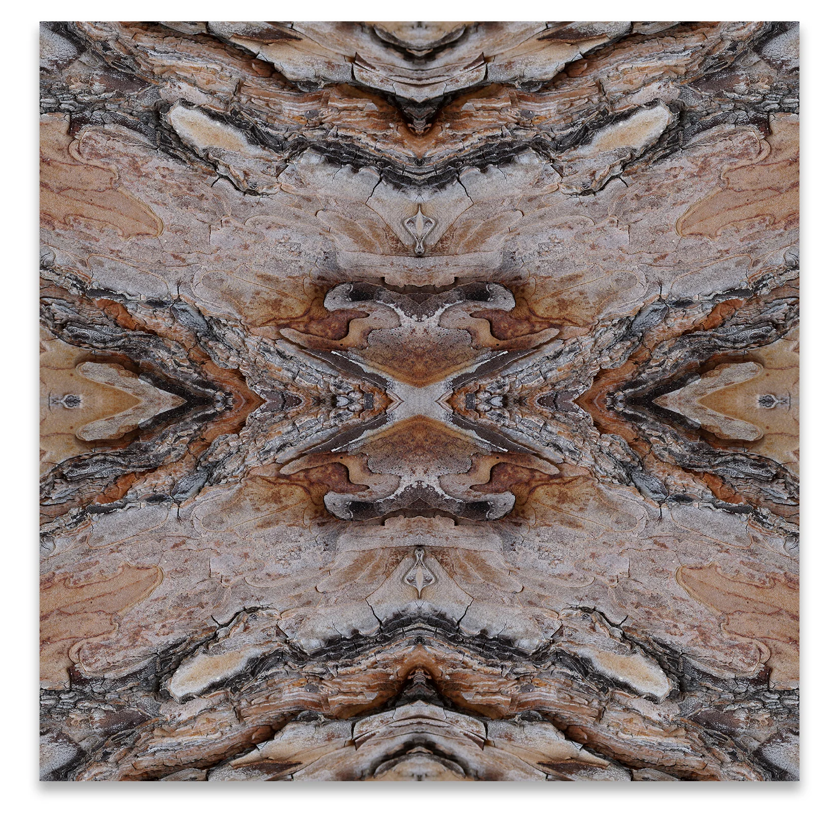 © TREE BARK COMPOSITION No.94