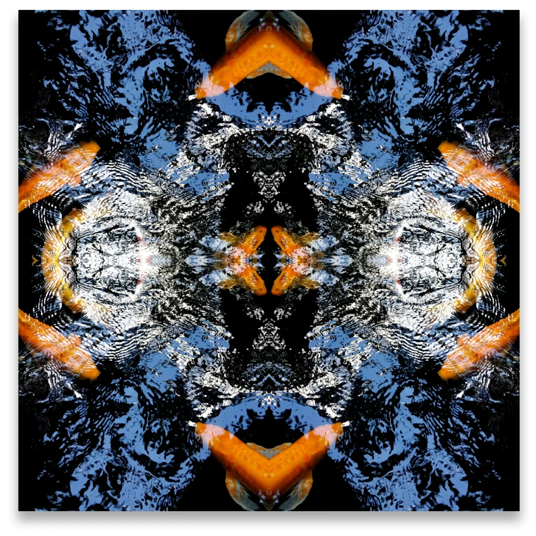 © KOI FISH COMPOSITION No.314