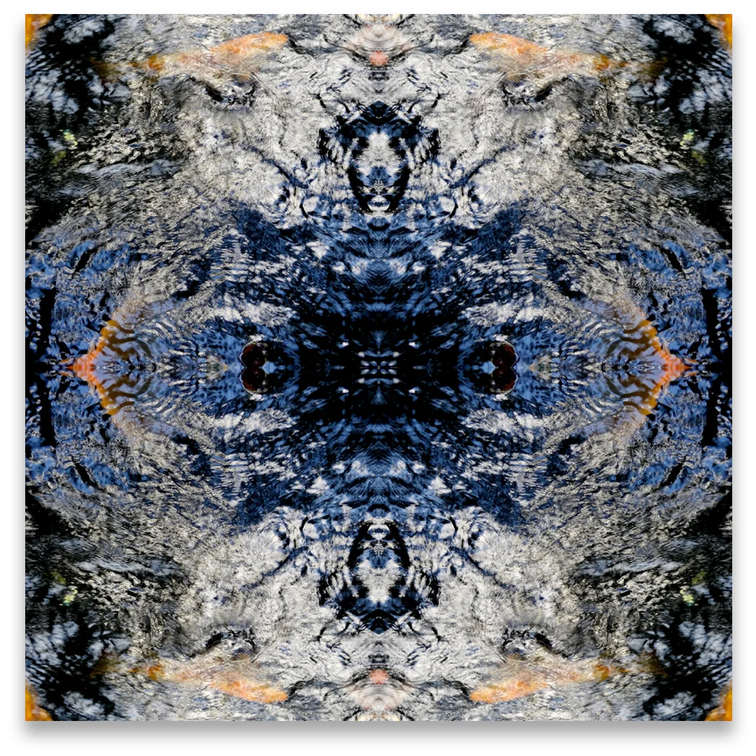 © KOI FISH COMPOSITION No.313