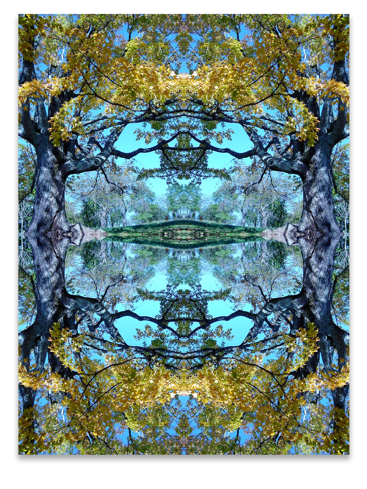 © TREE COMPOSITION No.32