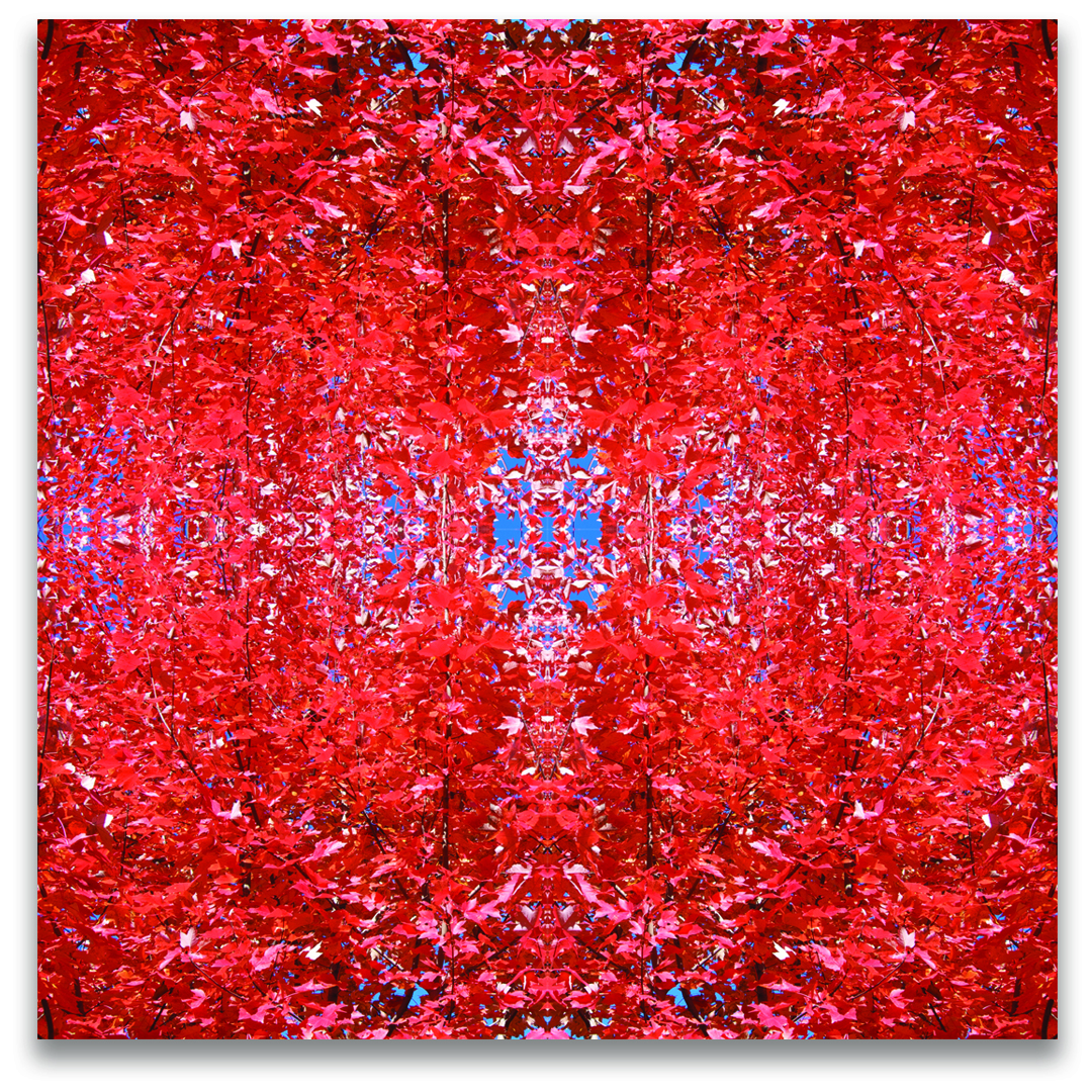 © FALL LEAVES COMPOSITION No.128