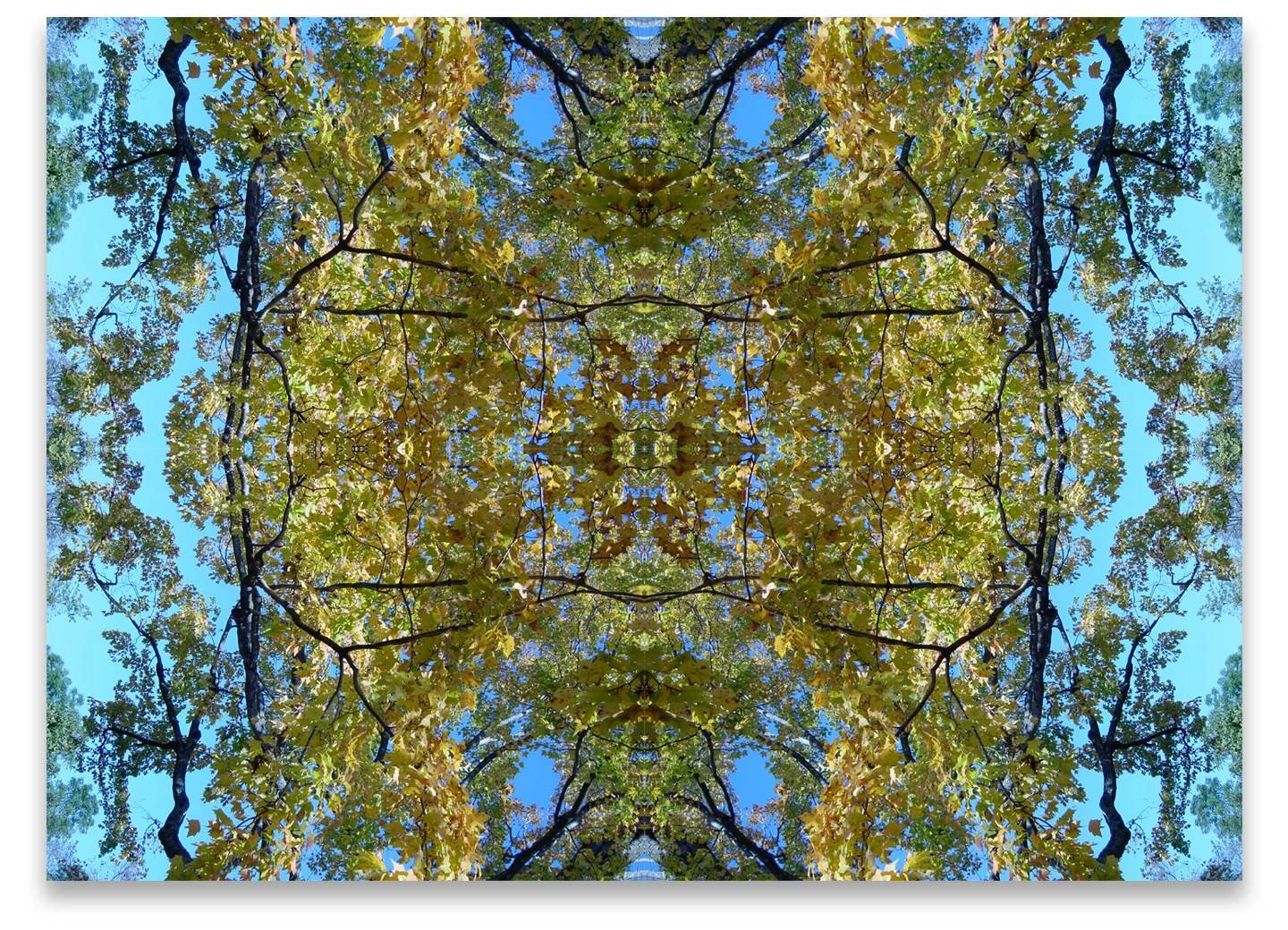 © COMPOSITION No.30