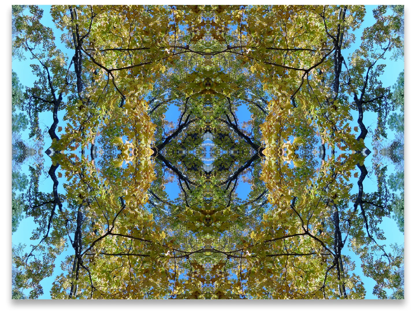 © COMPOSITION No.29