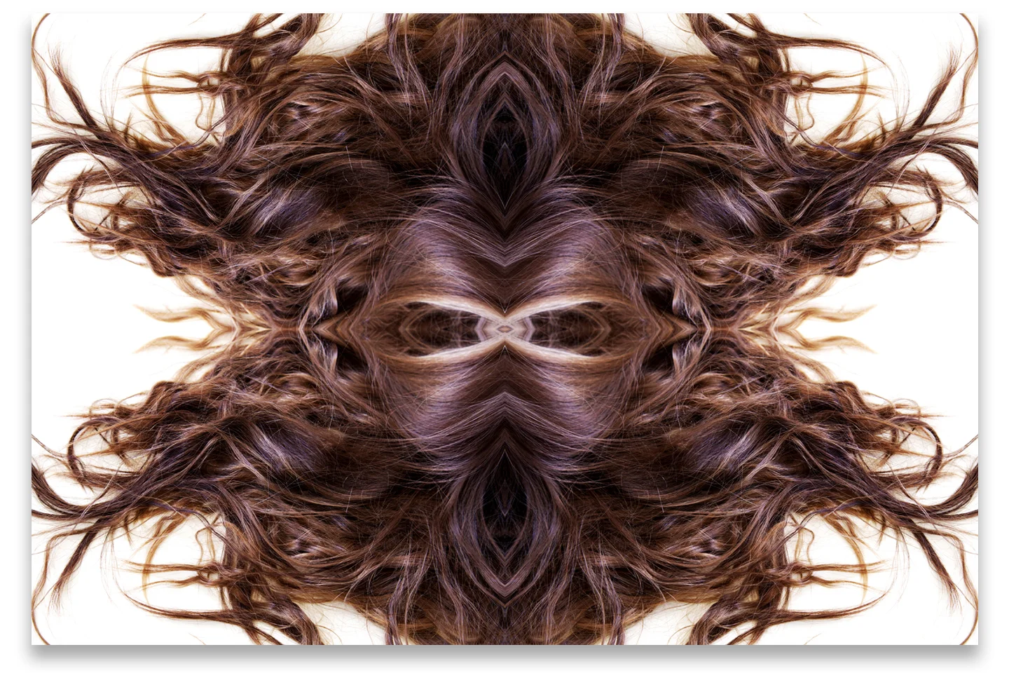 © HAIR COMPOSITION No.221