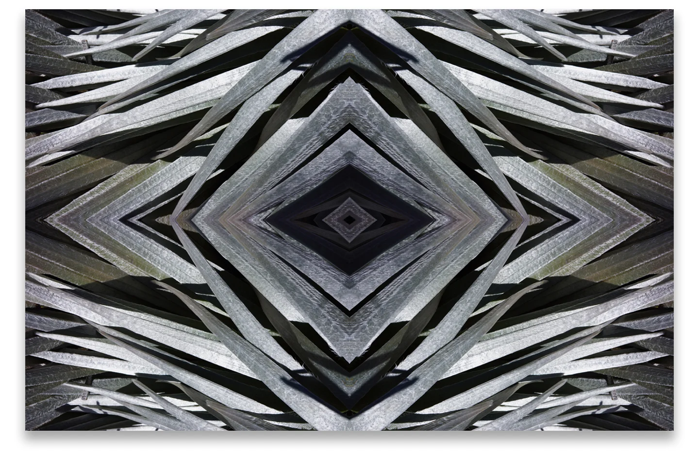 © SILVERSWORD COMPOSITION No.10