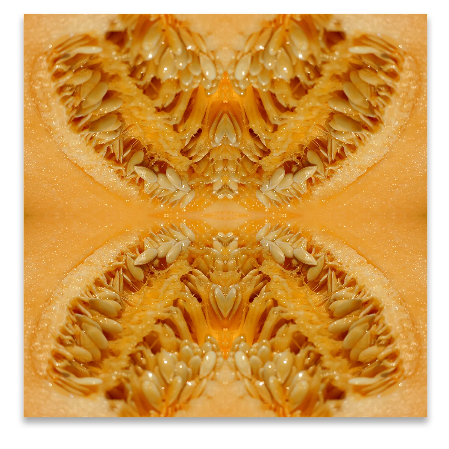 © HONEYDEW MELON COMPOSITION No.1