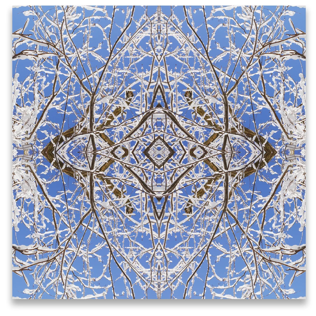 © SNOWY BRANCHES No.511