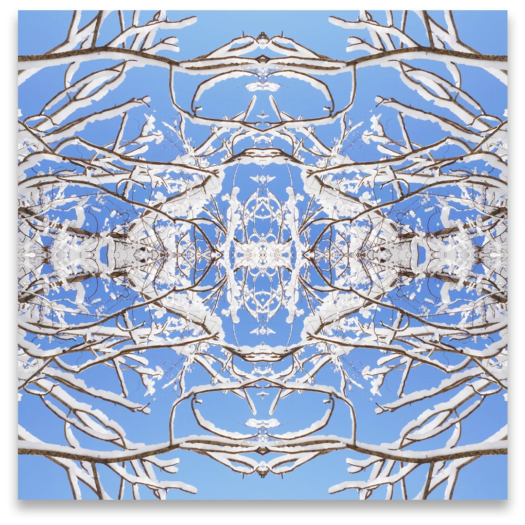 © SNOWY BRANCHES No.512