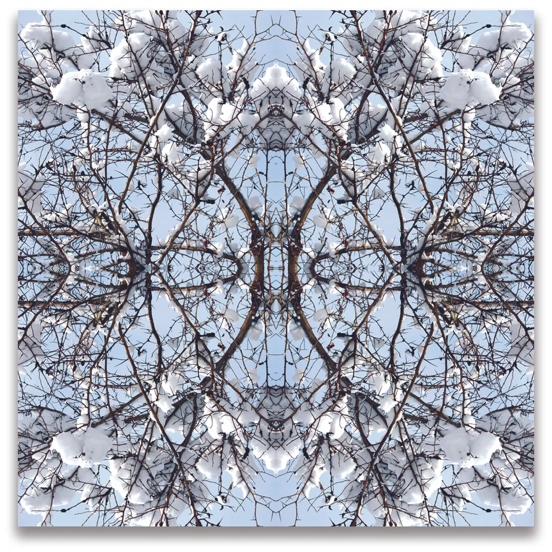 © SNOWY BRANCHES No.135