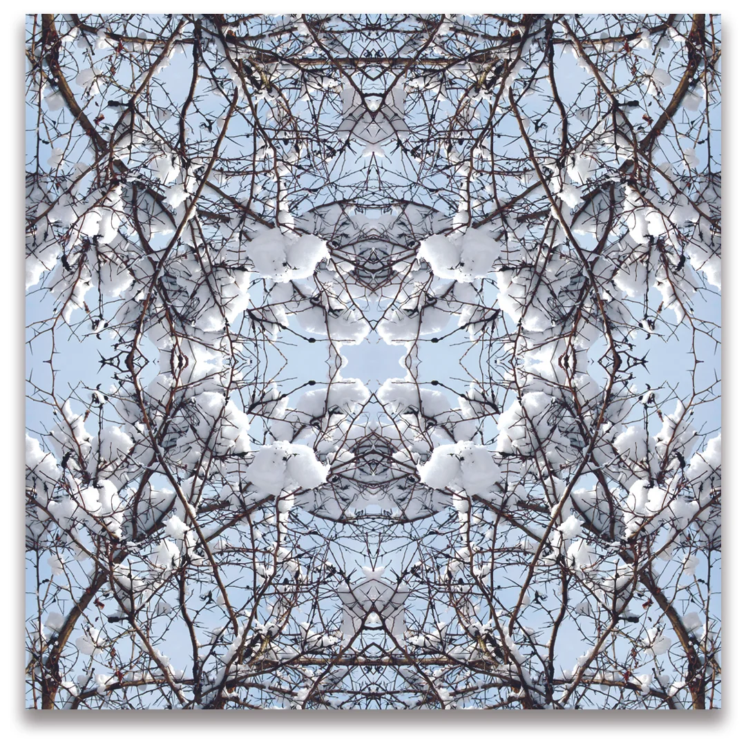 © SNOWY BRANCHES No.137