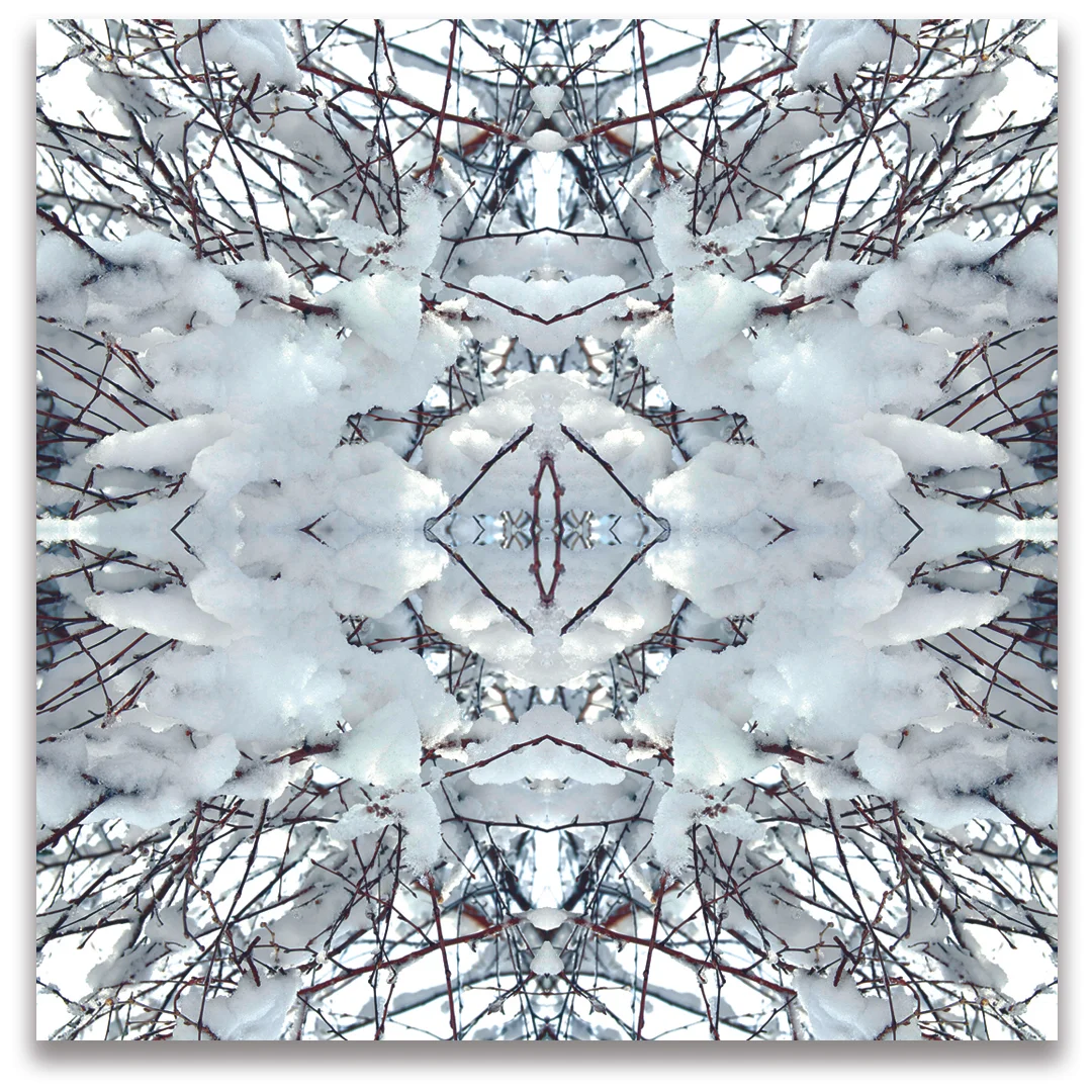 © SNOWY BRANCHES No.156
