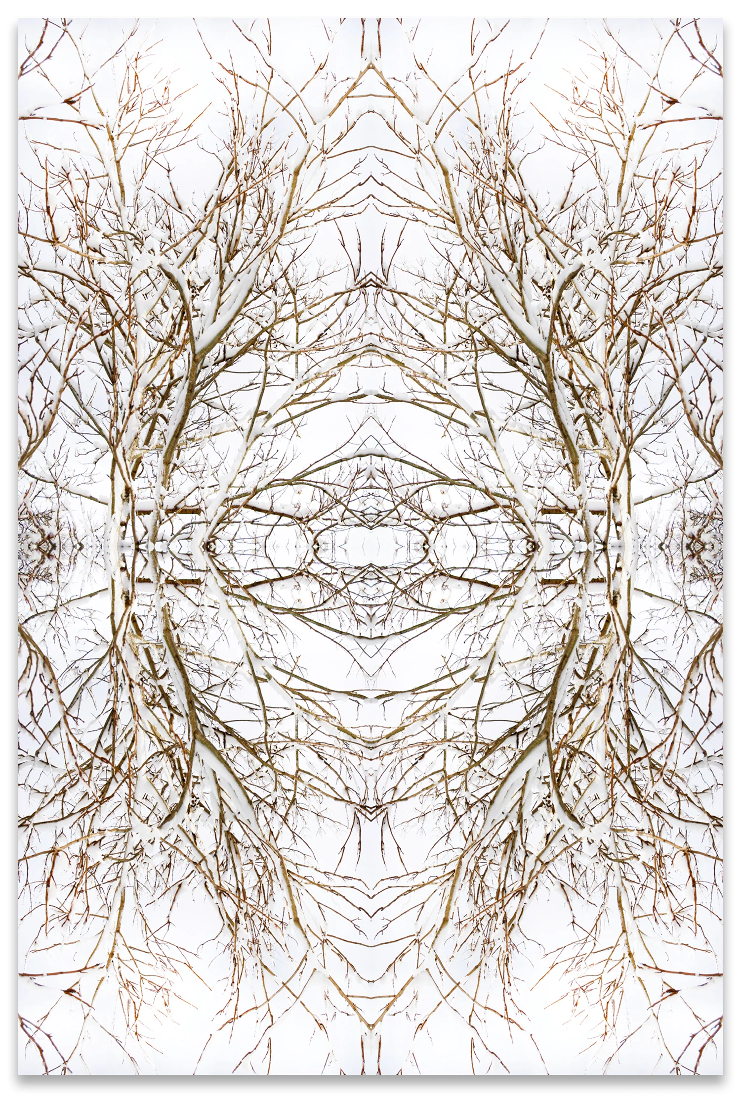 © SNOWY BRANCHES No.82