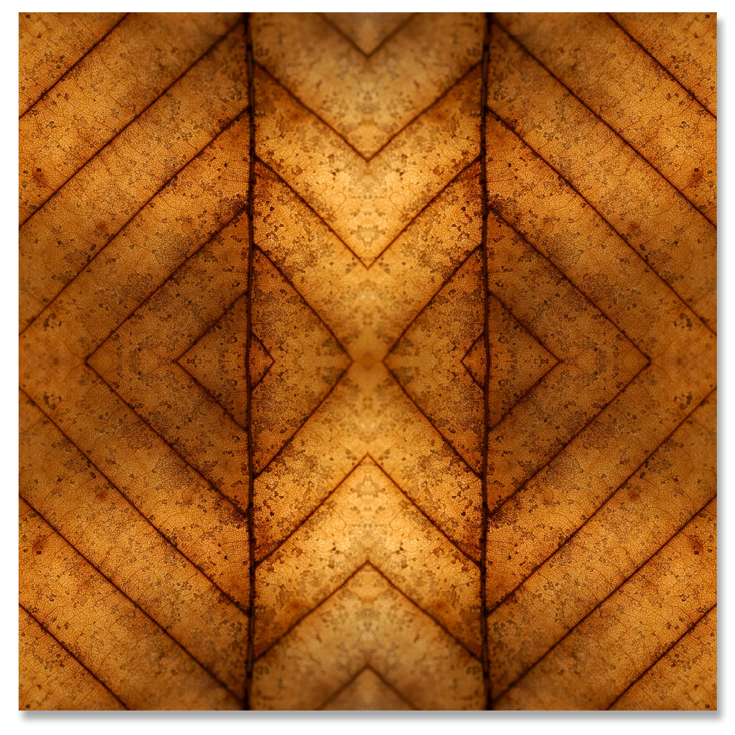 © Fall Leaves Composition No.43