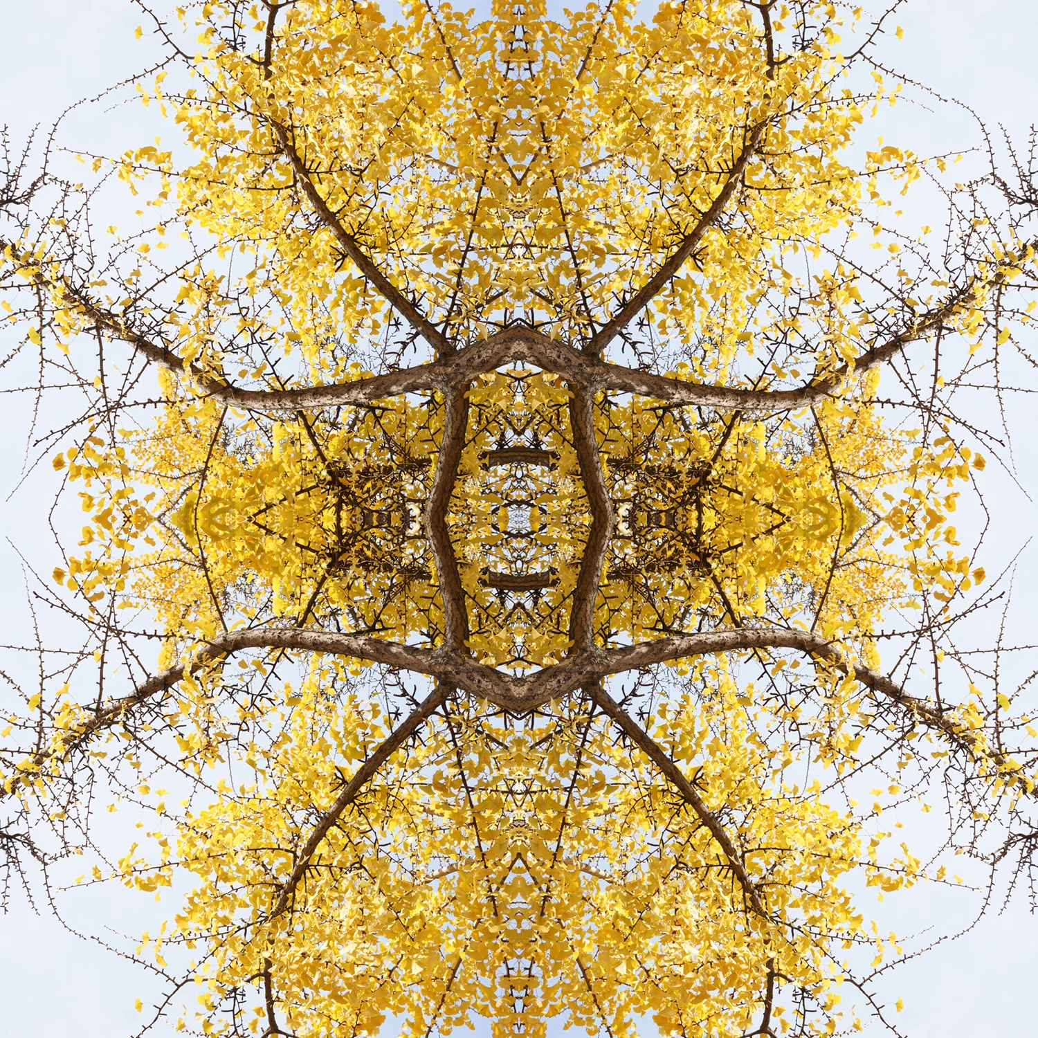 © TREES COMPOSITION No.610