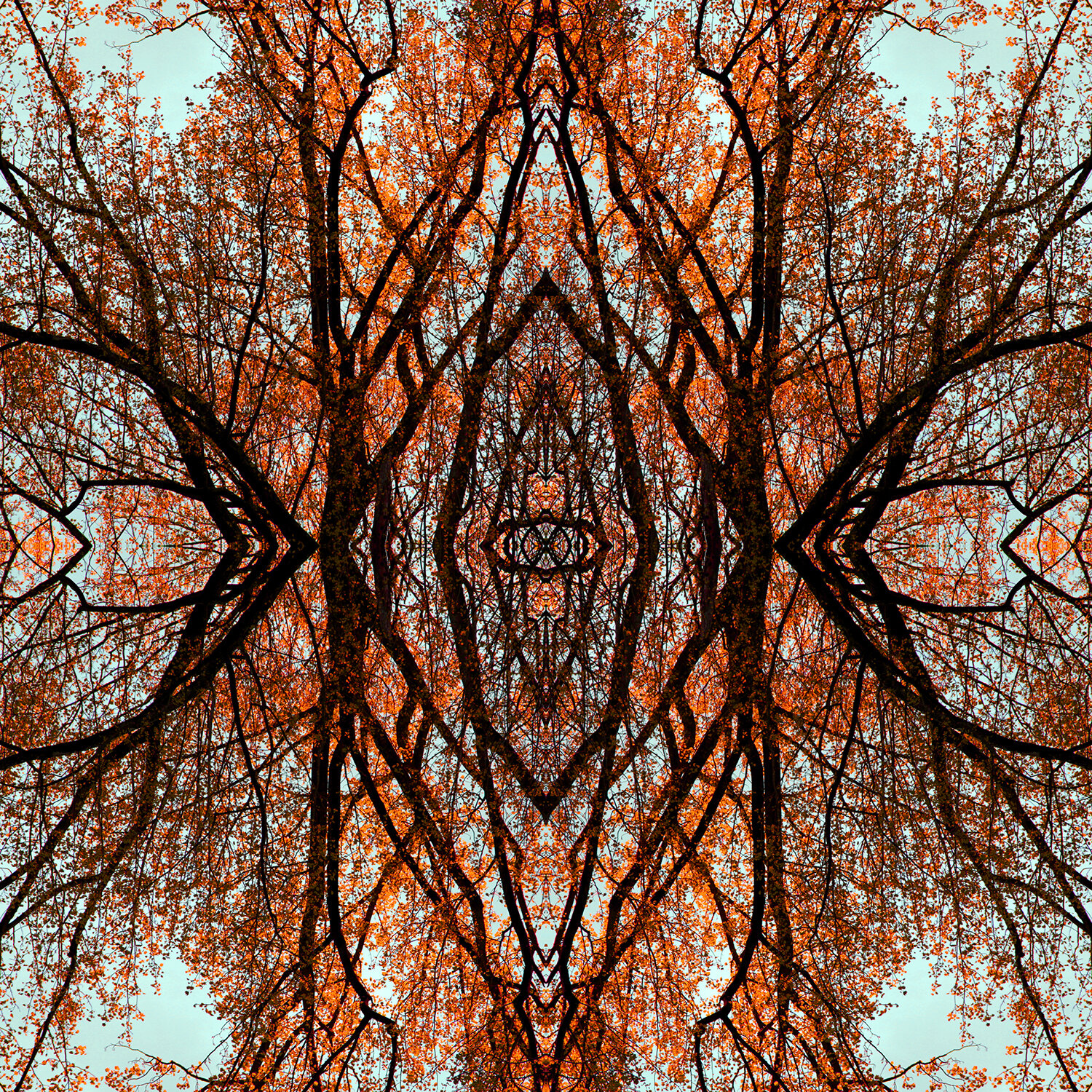 © TREES BRANCHES COMPOSITION No.624