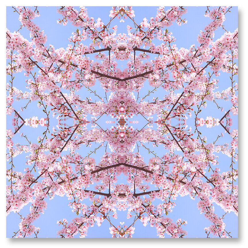 © CHERRY BLOSSOMS COMPOSITION No.51