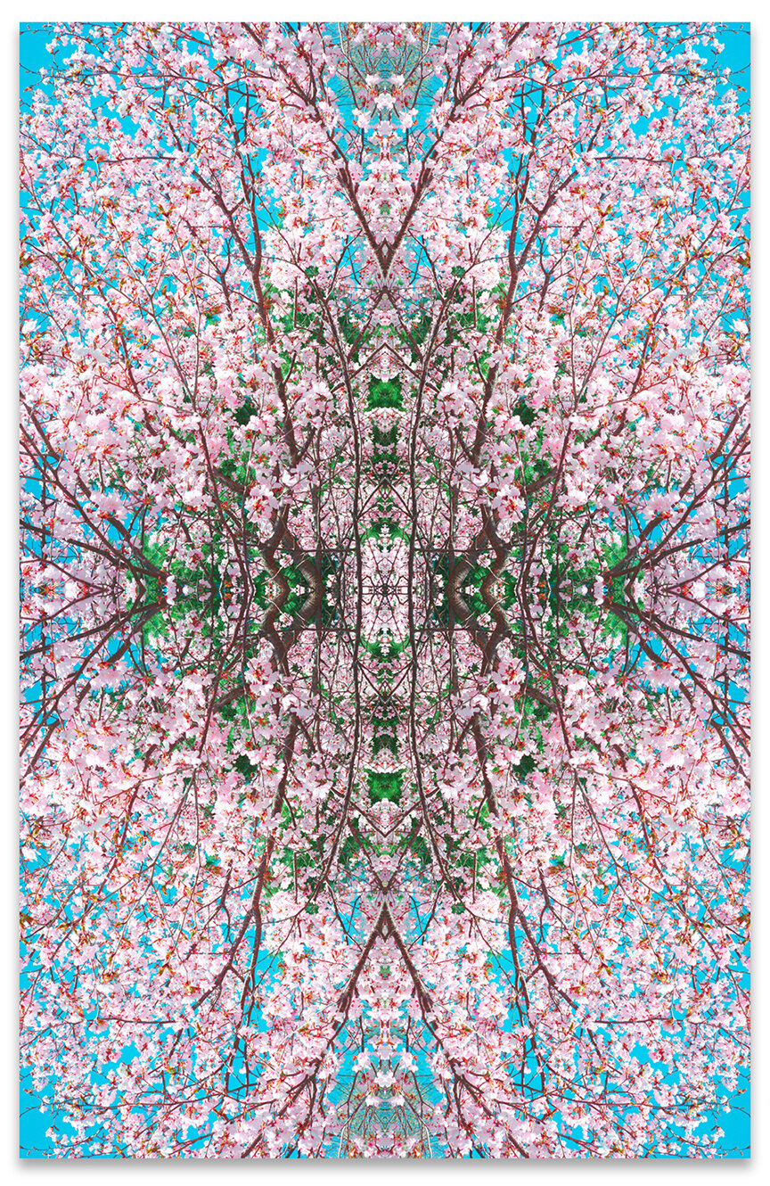 © CHERRY BLOSSOMS COMPOSITION No.16