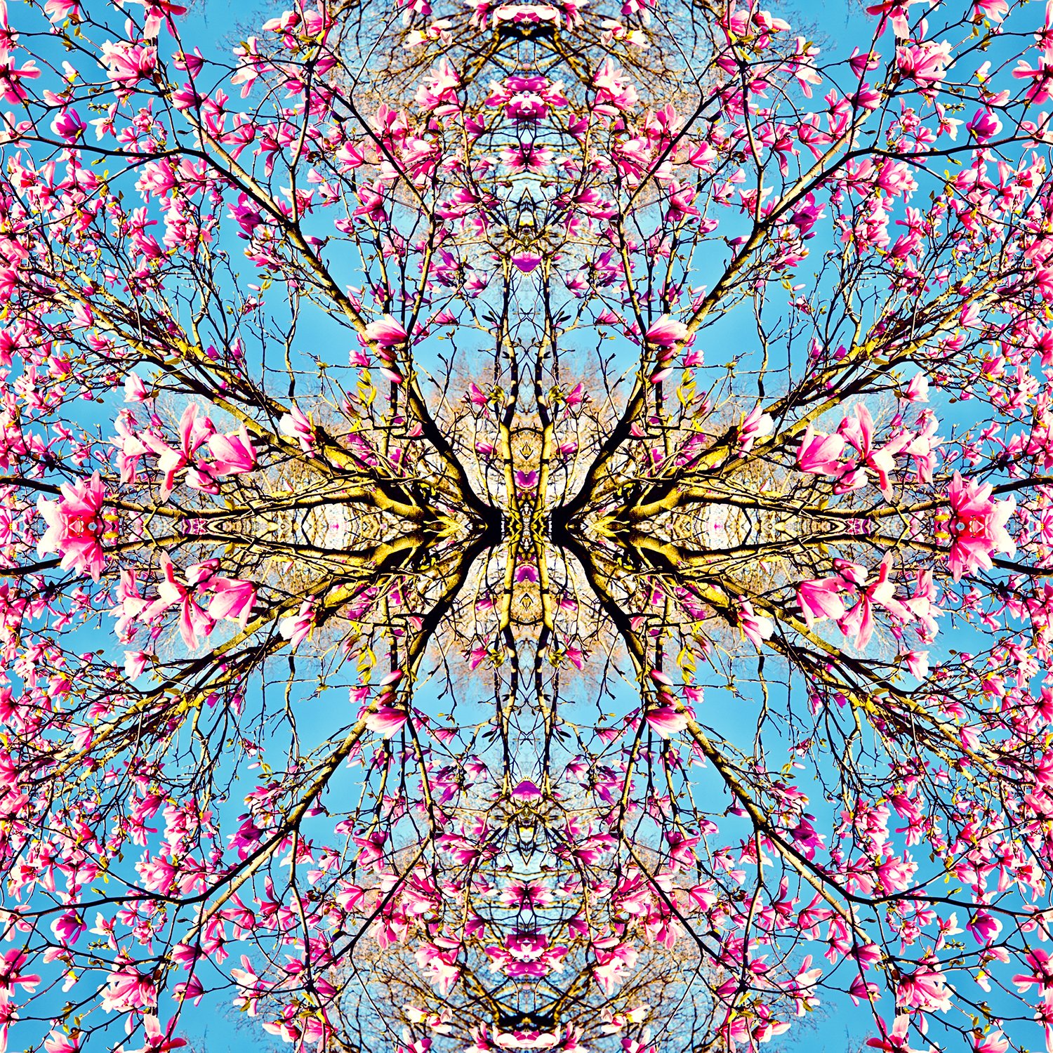 © CHERRY BLOSSOMS COMPOSITION No. 687