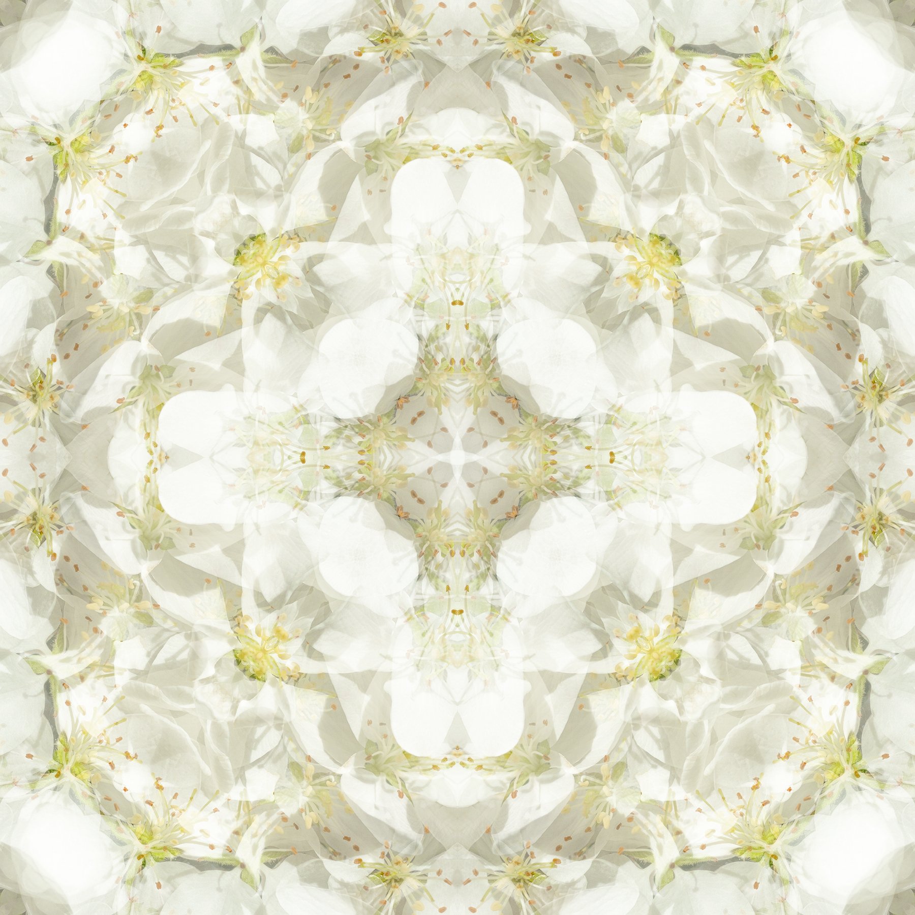 © SPRING FLOWERS COMPOSITION No.68