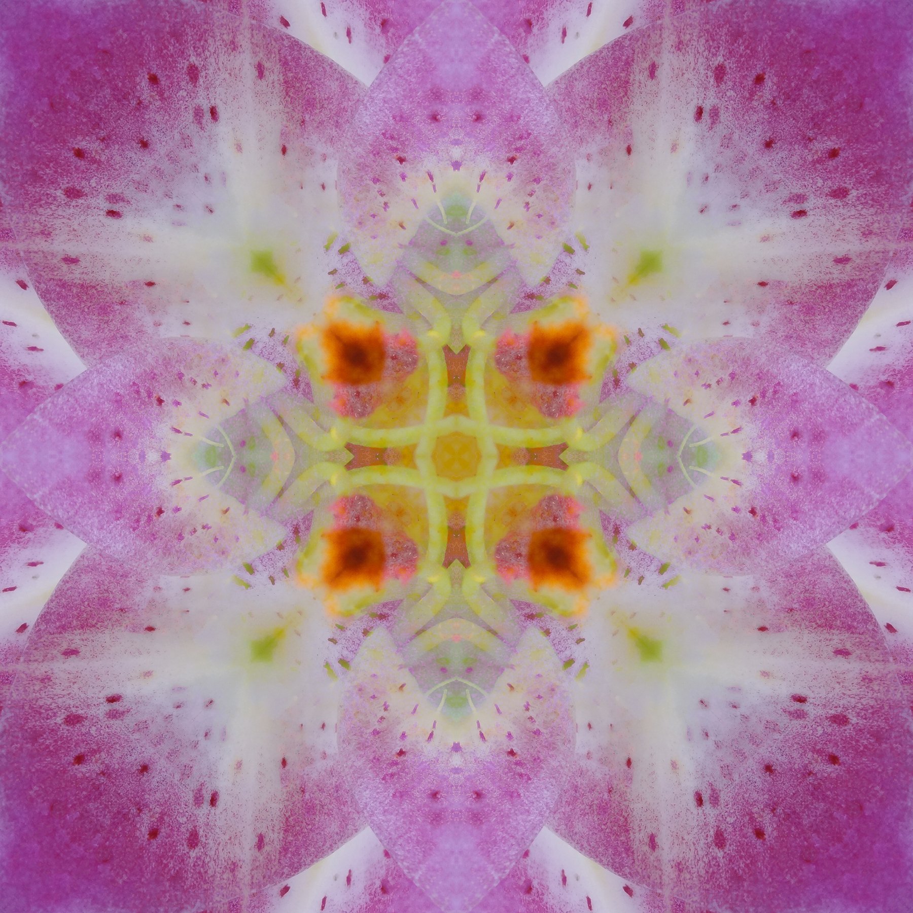 © FLOWERS COMPOSITION No.826