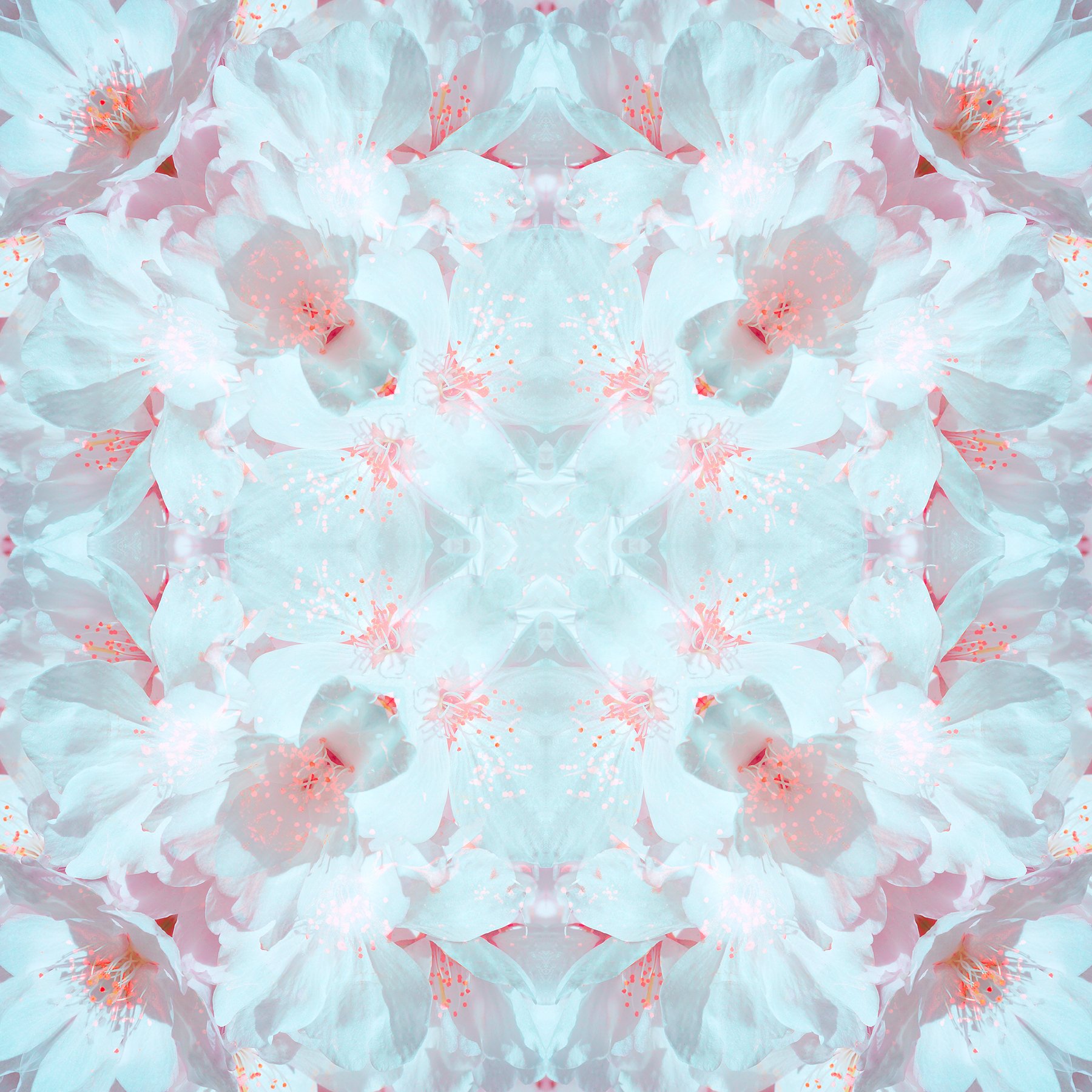 © CHERRY BLOSSOMS COMPOSITION No.20