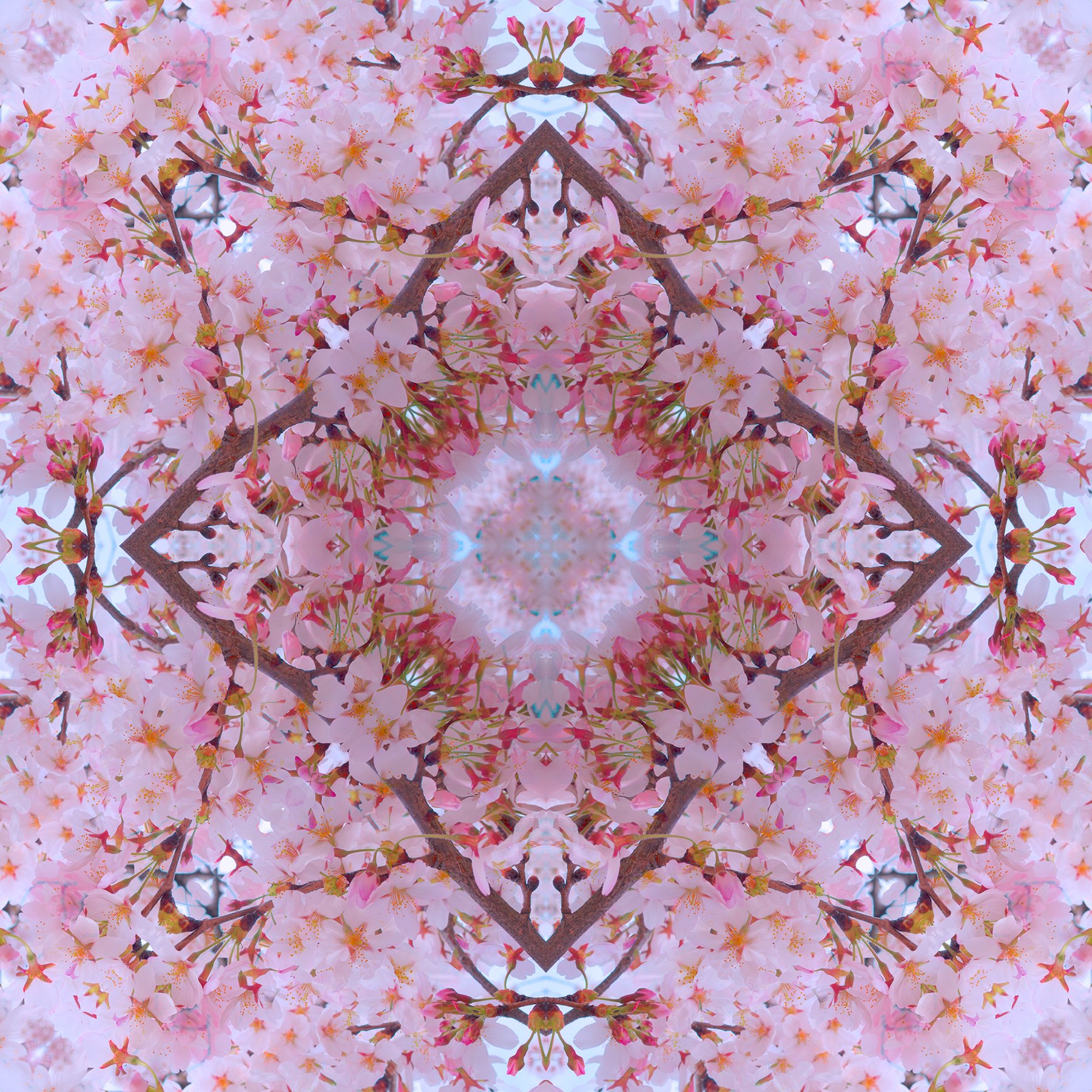 © CHERRY BLOSSOMS COMPOSITION No.633