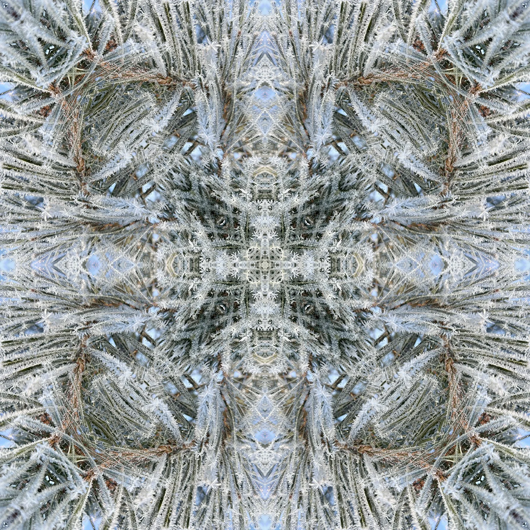 © SNOW COMPOSITION No.13