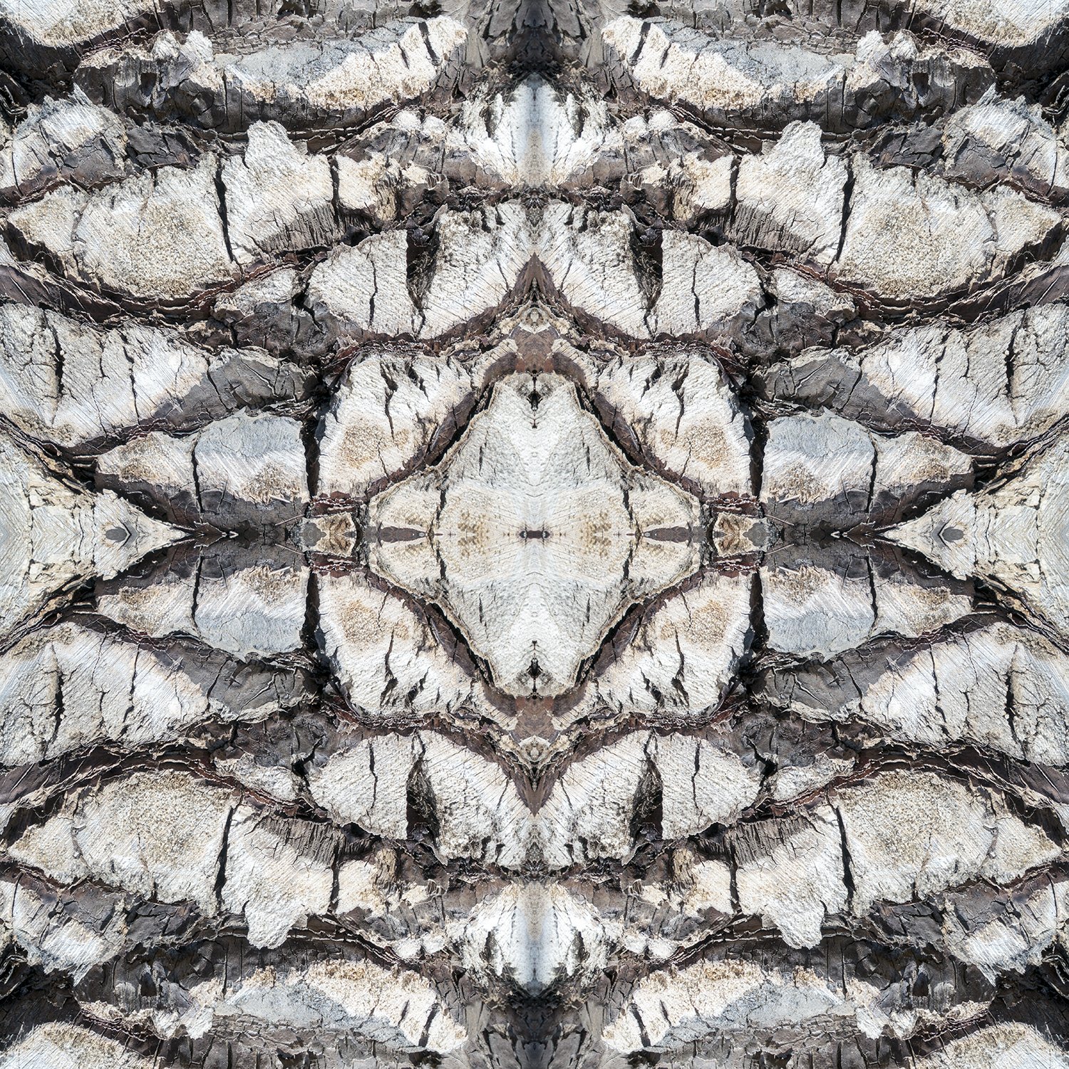 © TREE BARK COMPOSITION No.828
