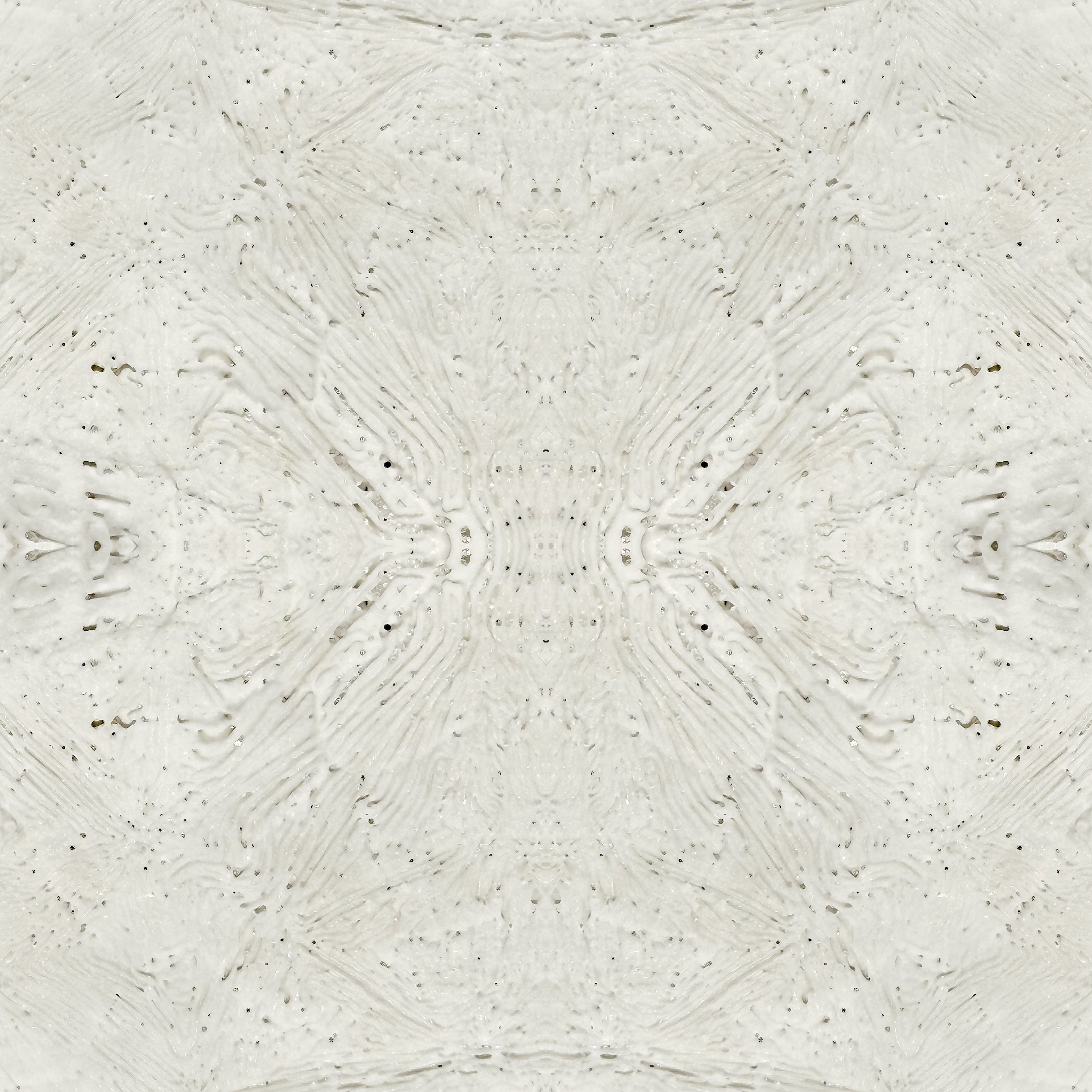© SEASHELLS COMPOSITION No.5