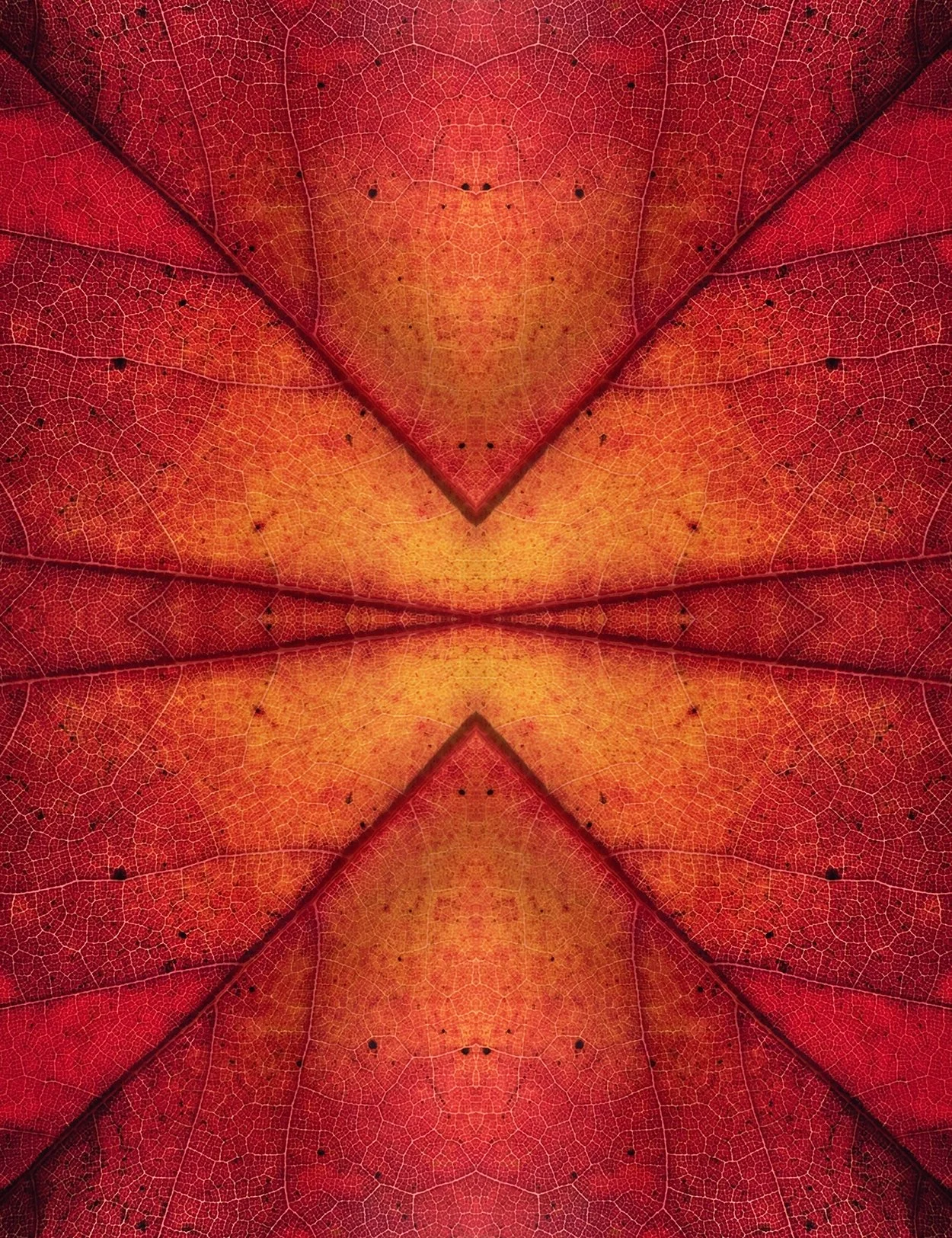© LEAVES COMPOSITION No.68