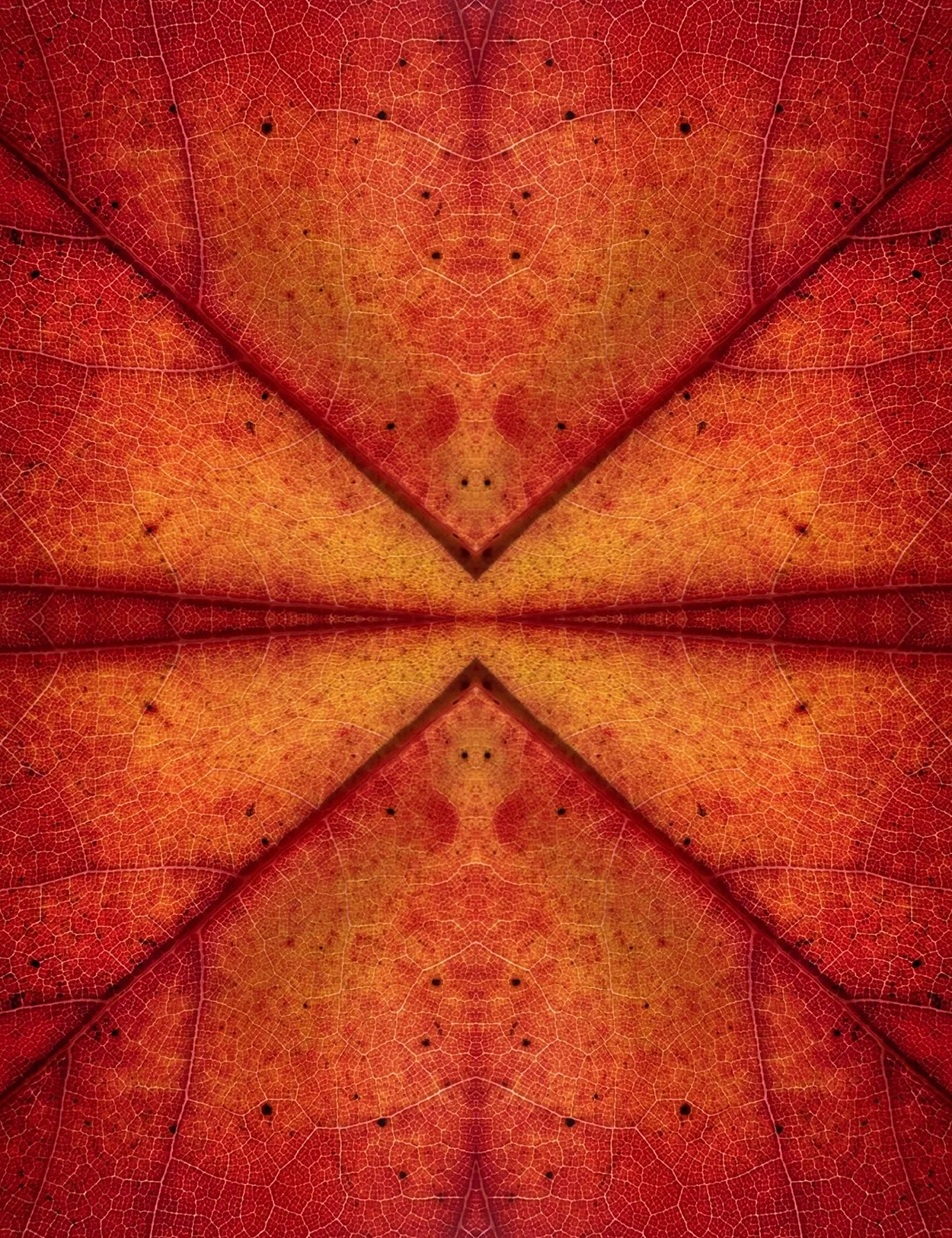 © LEAVES COMPOSITION No.69